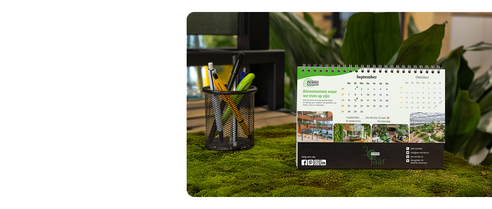 Kantoorruimte Ten Brinke Zevenaar Kantoorbeleving Ten Brinke Interieurbeplanting