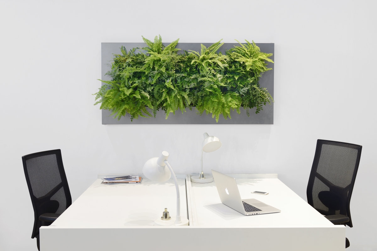 LivePicture by Ten Brinke Interieurbeplanting
