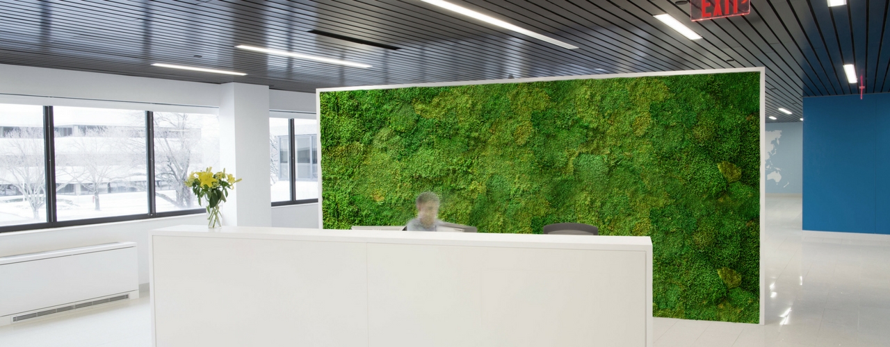 Unieke wand van mos door Ten Brinke Interieurbeplanting