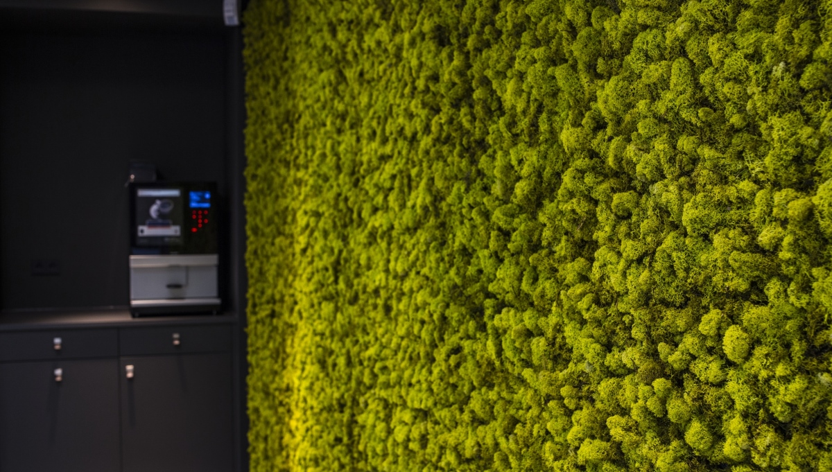 Unieke wand van mos door Ten Brinke Interieurbeplanting