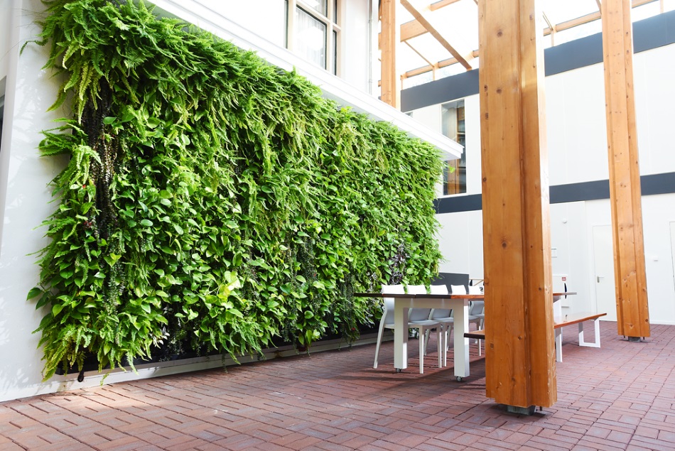 Een groene plantenwand verveelt nooit