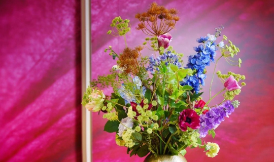 Sfeerdecoratie felle kleuren Ten Brinke