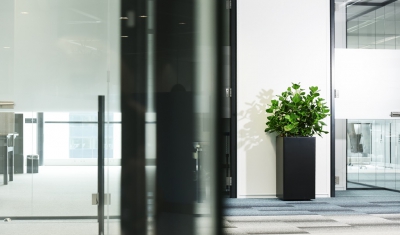 Interieurbeplanting black modern strak