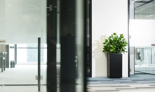 Interieurbeplanting black modern strak