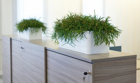 Interieurbeplanting kantoor op kast modern strak