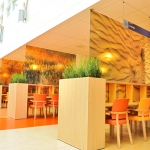 Natuurlijke look interieur openbaar interieurbeplanting