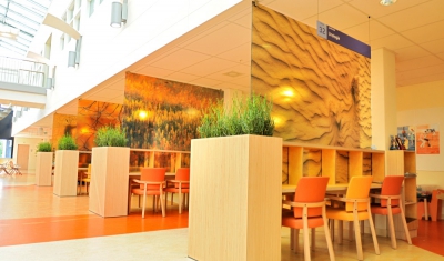 Natuurlijke look interieur openbaar interieurbeplanting