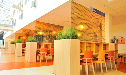 Natuurlijke look interieur openbaar interieurbeplanting