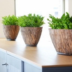 Natuurlijke look kast interieurbeplanting