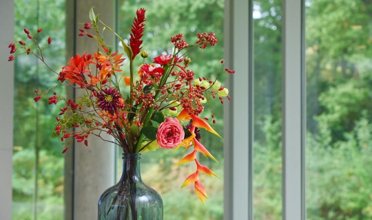 Sfeerdecoratie door Ten Brinke Interieurbeplanting