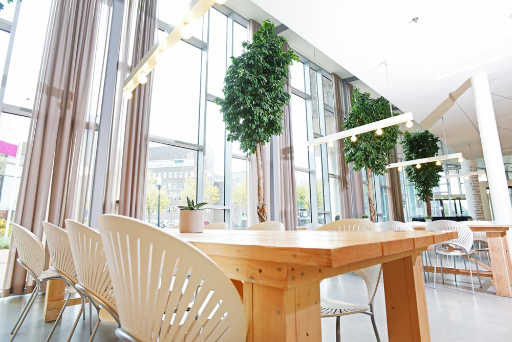 XL-objecten-kantine-interieur_planten.jpg