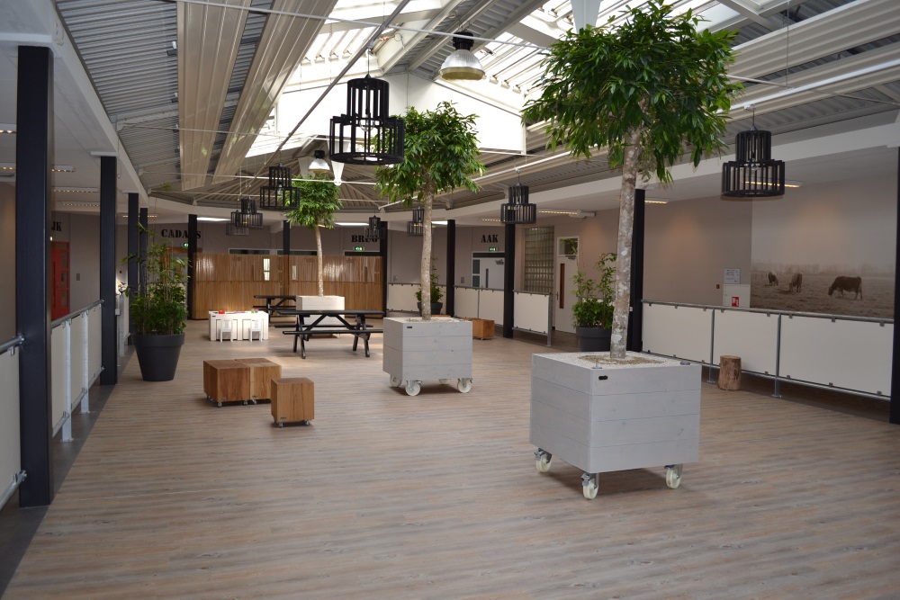 XL planten in stoere plantenbakken