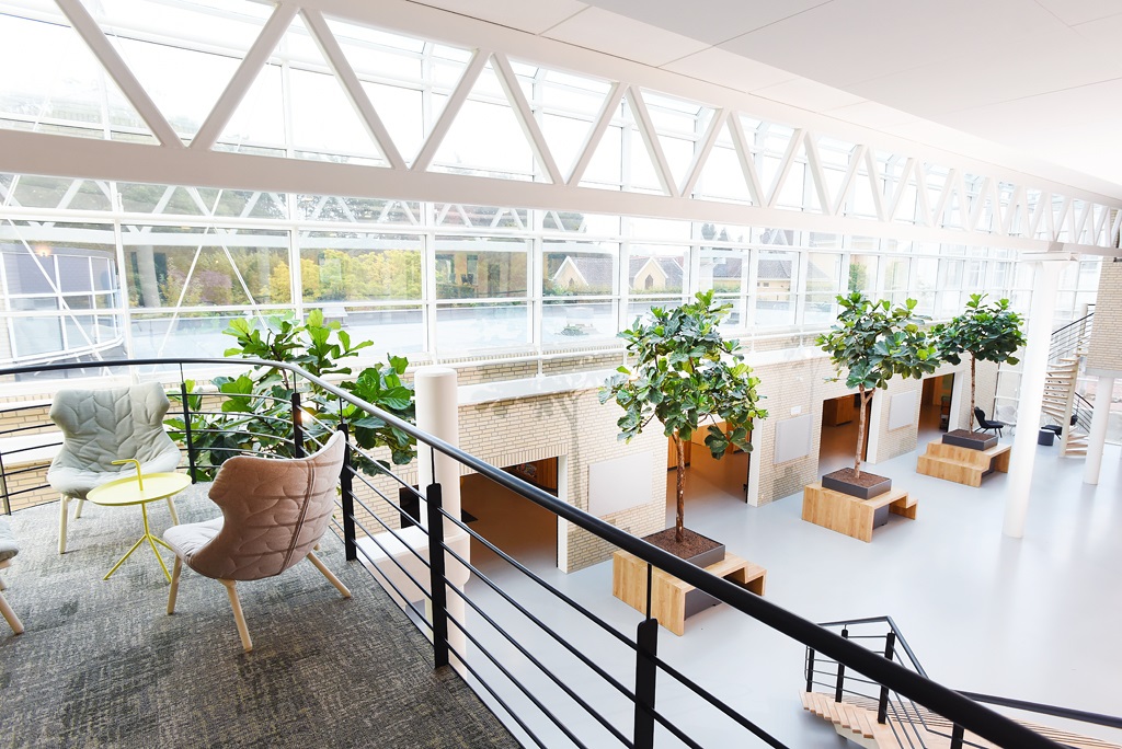 Royale bomen atrium in combinatie met een strak design