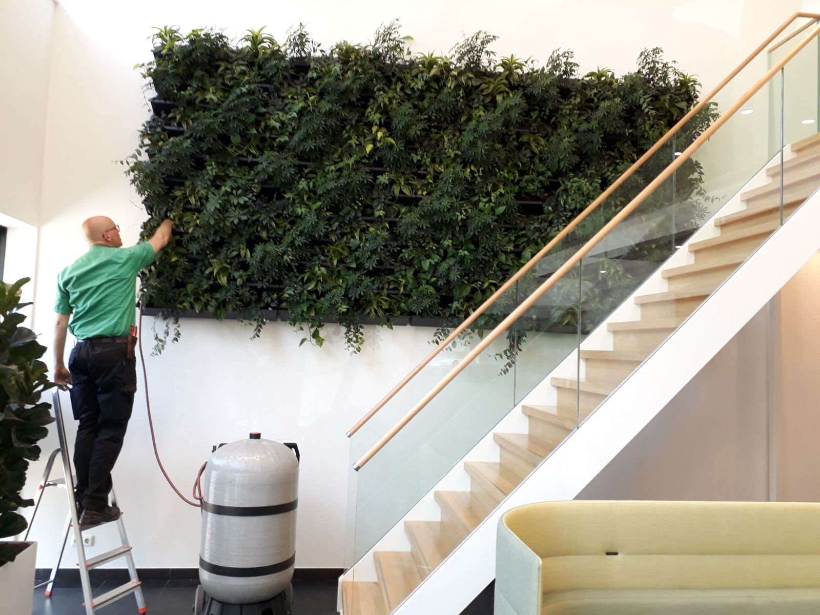 Onderhoud plantenwand