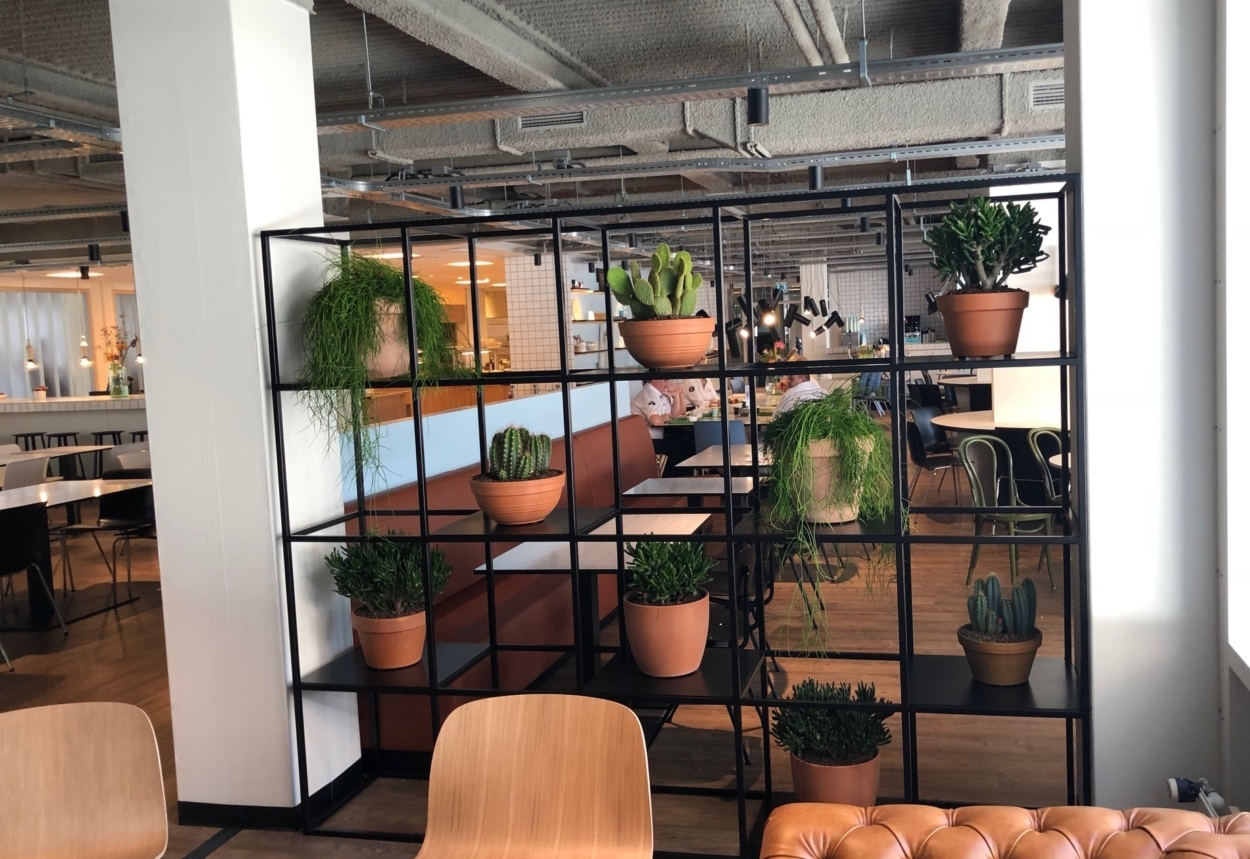 Industrieel frame met Terracotta plantenbakken