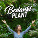 Bedankt-plant-Ten_Brinke_Interieurbeplanting