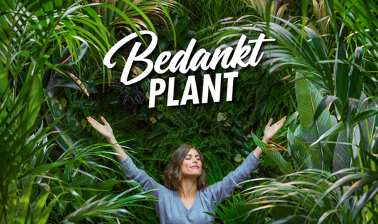 Bedankt-plant-Ten_Brinke_Interieurbeplanting