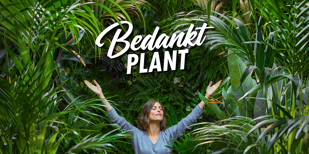 Bedankt-plant-Ten_Brinke_Interieurbeplanting