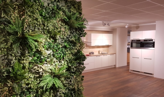 Muurplant keuken