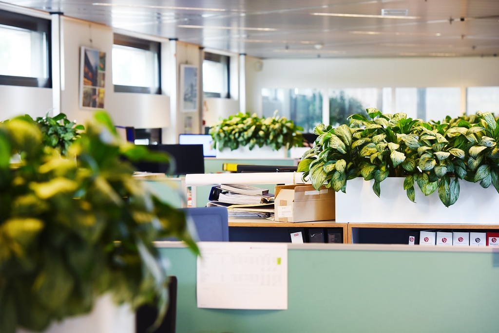 Planten op kast kantoortuin