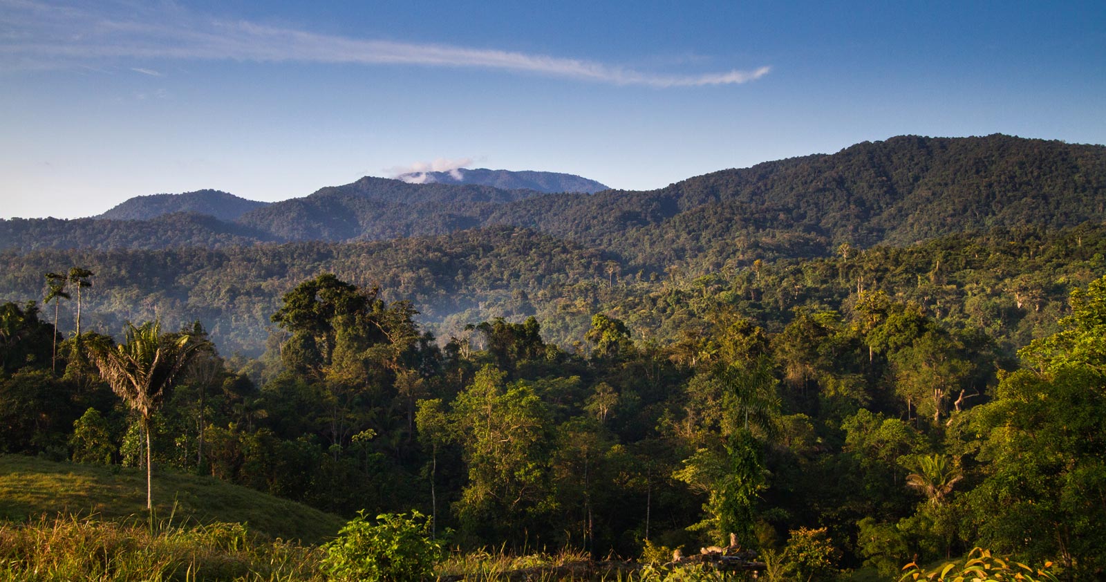 Adoptie regenwoud Costa Rica