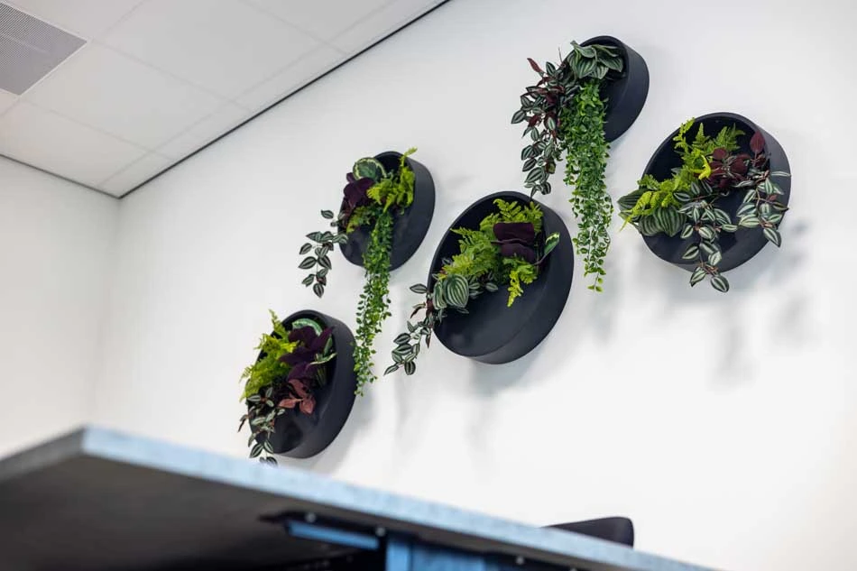 Aerzen-interieurbeplanting-wall-planters.webp