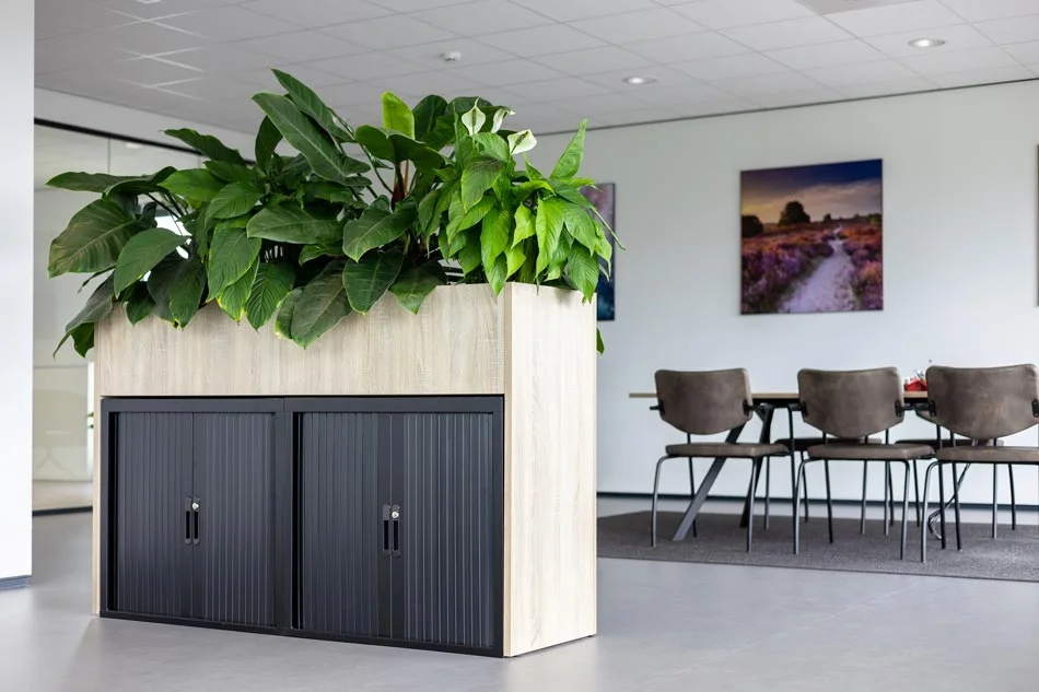 Planten in kast kantoorruimte