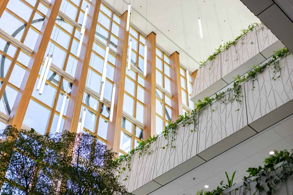 Architectuur biophilic design WUR