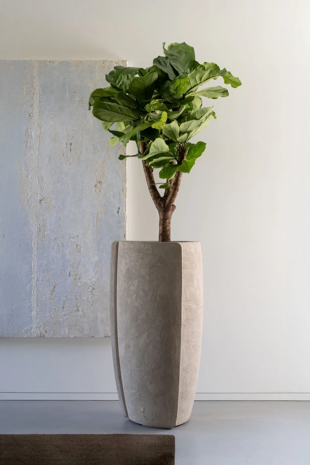 Sfeerbeeld Ficus Lyrata en Atelier ROA pot combinatie