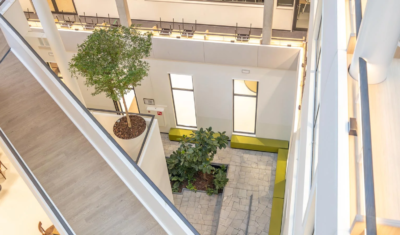 Beplanting in het gebouw van Academie Tien in Utrecht