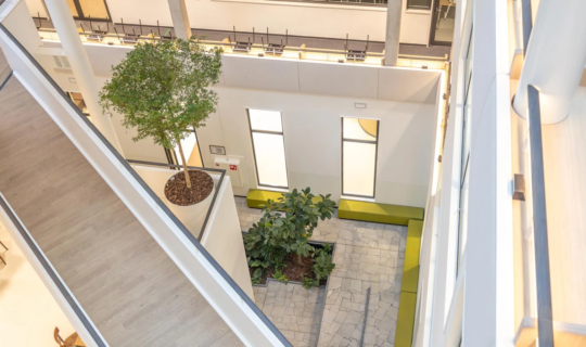 Beplanting in het gebouw van Academie Tien in Utrecht