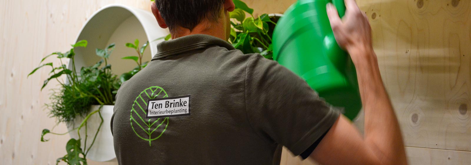 Onderhoud planten