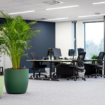 Een set van 2 grote groene plantenbakken met diverse planten voor een natuurlijke en frisse uitstraling in het kantoor van Roularta in Baarn