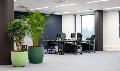 Een set van 2 grote groene plantenbakken met diverse planten voor een natuurlijke en frisse uitstraling in het kantoor van Roularta in Baarn
