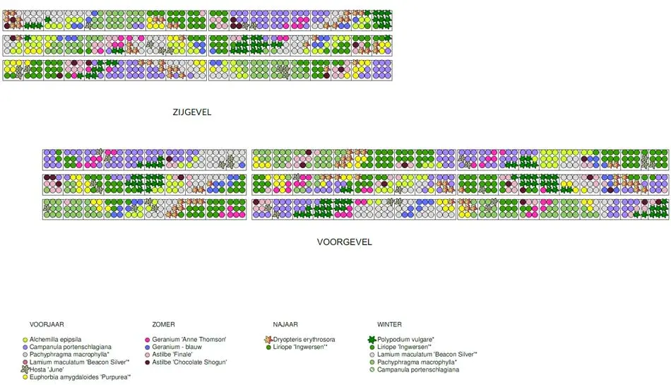 Voorbeeld van beplantingsplan voor buitenwand gebouwen plantsoorten