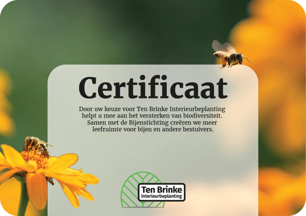 Certificaat wanneer je de Bijenstichting via ons steunt