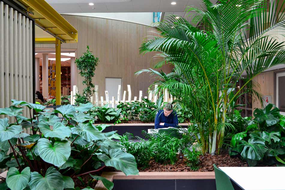 Biophilic-binnentuin-Meulenvelden.jpg