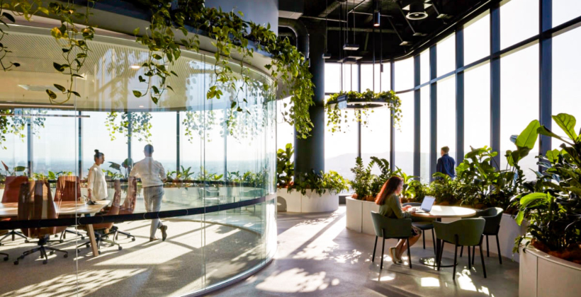 Biophilia kantoor interieur