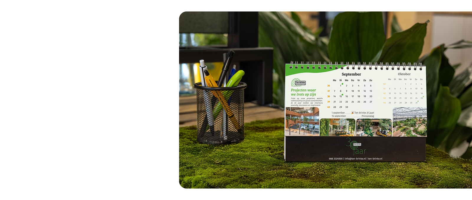 Kantoorbeleving Ten Brinke Interieurbeplanting