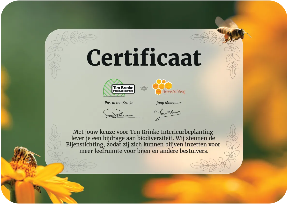 Certificaat wanneer je de Bijenstichting via ons steunt