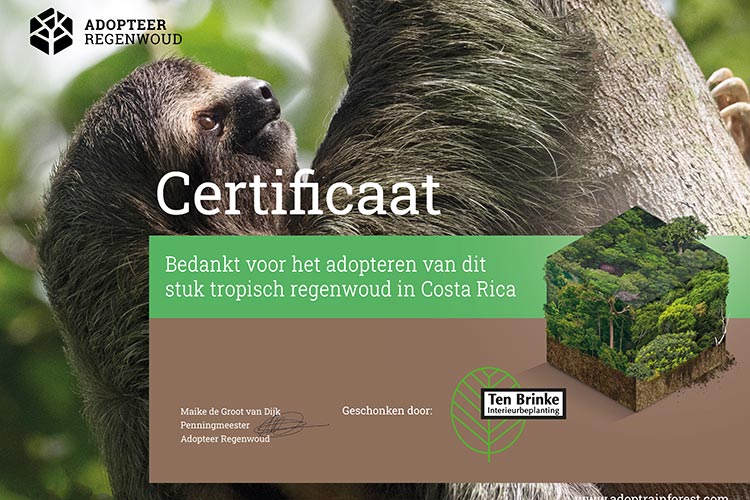 Certificaat adopteer regenwoud