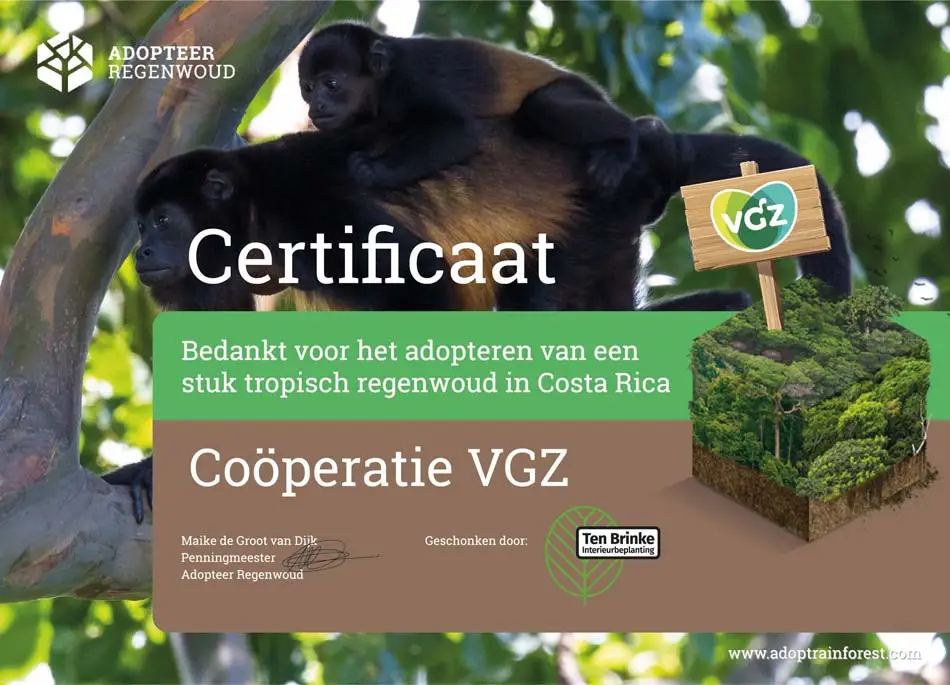 Gepersonaliseerd certificaat adoptie regenwoud