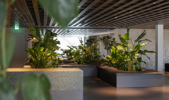 Interieurbeplanting bij Crematorium en Uitvaartcentrum Zaanstad in Zaandam