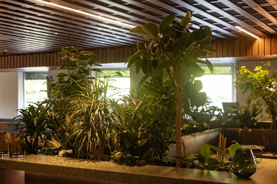 Crematorium-en-Uitvaartcentrum-Zaanstad-WEBP-21.webp