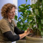 Onderhoudsmedewerkster Danielle aan het werk met beplanting