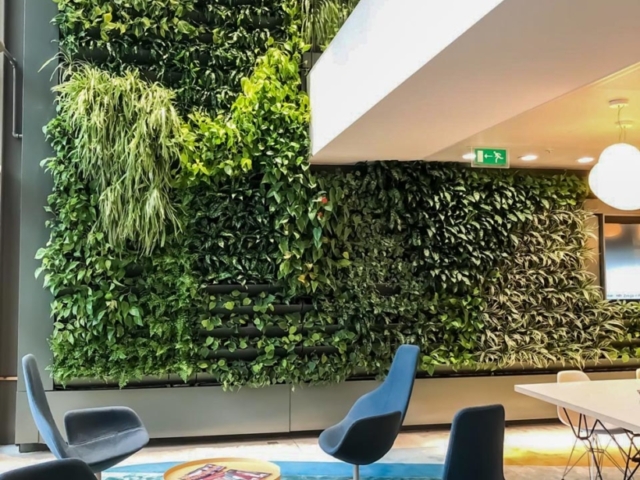 Ruimtebesparende interieurbeplanting