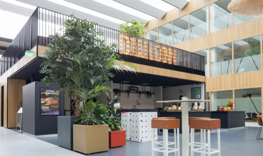 Interieurbeplanting in school Dulon College Ede