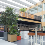 Plants in school, Dulon College Ede, The Netherlands