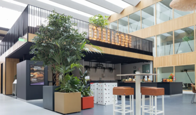 Plants in school, Dulon College Ede, The Netherlands