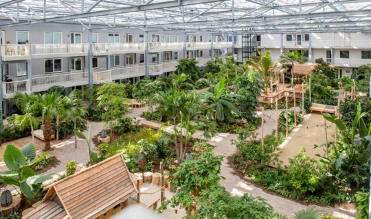 Indoor Garden Biophilic Design Mipatio